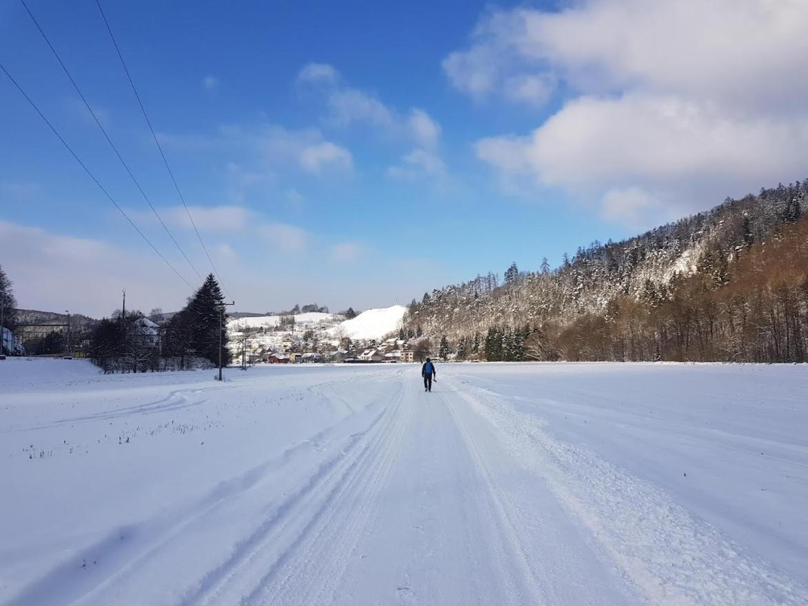 Schupplerova Vila Hostejn Luaran gambar