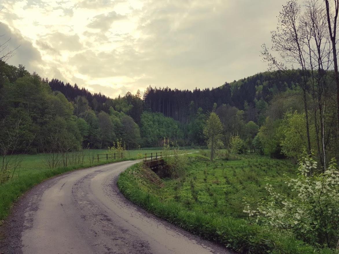 Schupplerova Vila Hostejn Luaran gambar