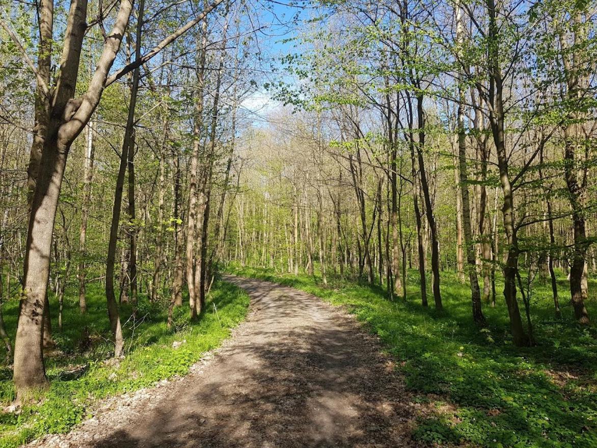 Schupplerova Vila Hostejn Luaran gambar