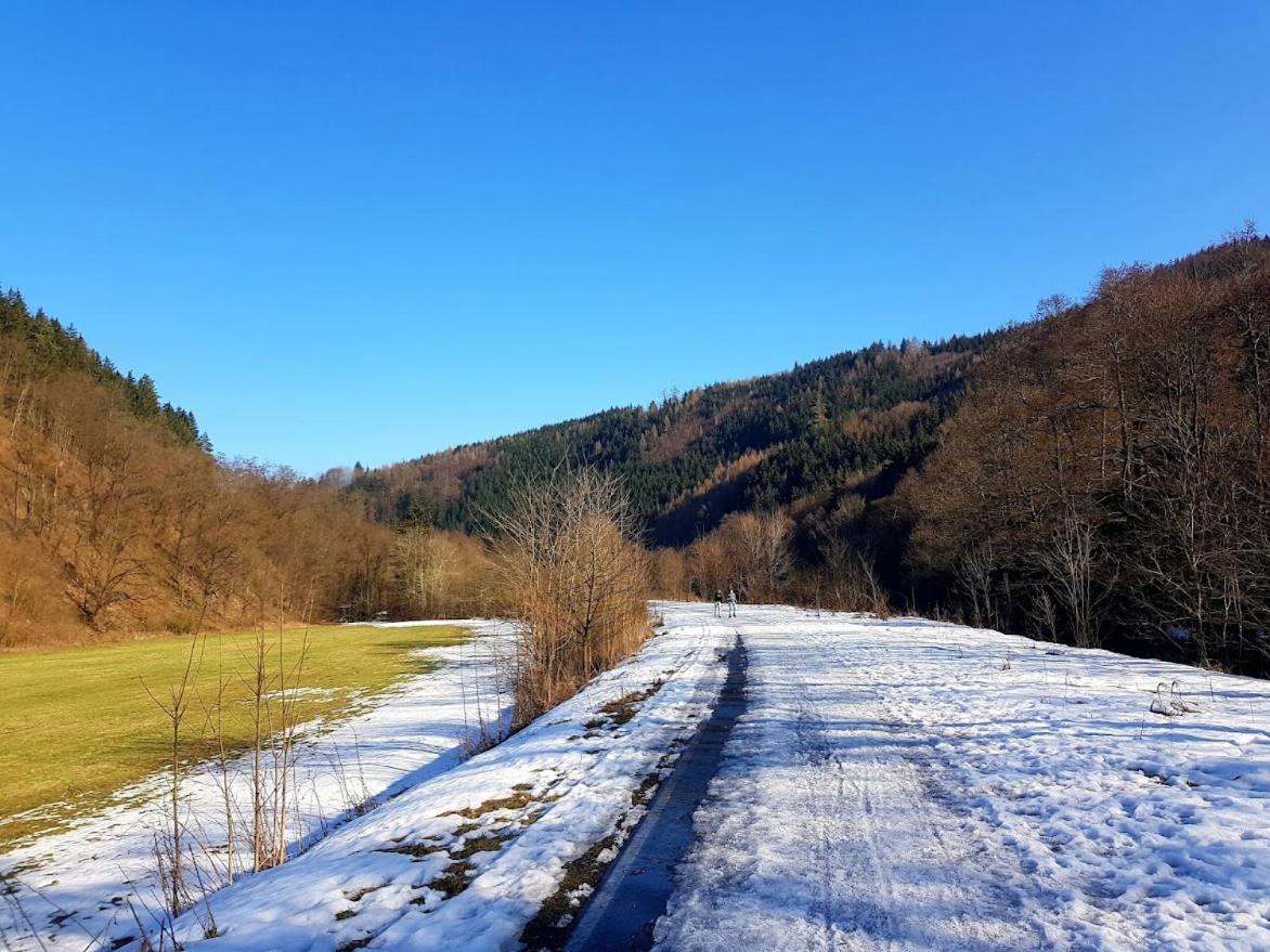 Schupplerova Vila Hostejn Luaran gambar