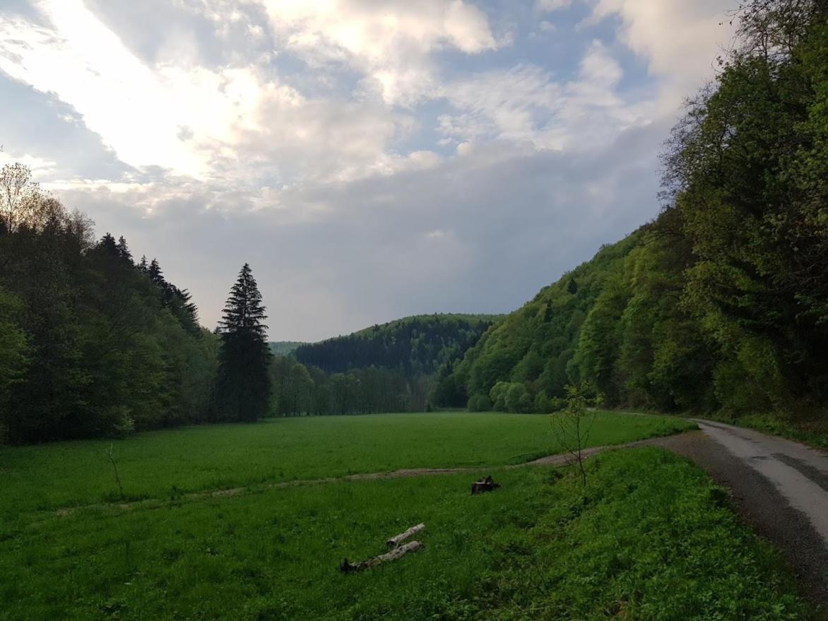 Schupplerova Vila Hostejn Luaran gambar